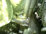 IMG_20140711_191651.jpg