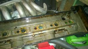 WP_20150906_005.jpg