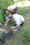 ____________026.jpg