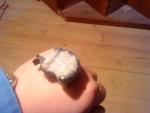 DSC00402.JPG