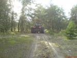 DSC00774.JPG