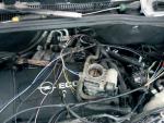 IMG_20120521_165837.jpg