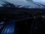 ____0456.jpg