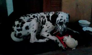 IMG_20150509_195738.jpg