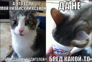 kakaxenon.jpg