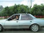 IMG_0463______.jpg
