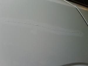 IMG_20150707_162425.jpg