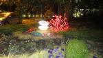 DSC02328.JPG