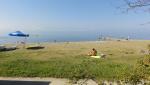 DSC02349.JPG