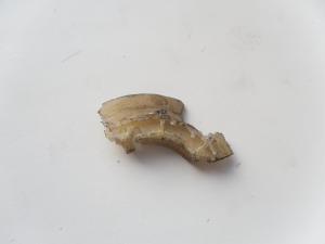 SAM_6020.JPG