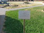 20140803_093058.jpg