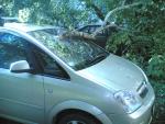 18062008_1_.jpg
