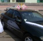 ST830043.JPG