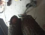 IMG052.jpg