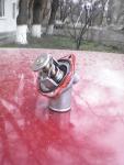 IMG_20140328_164537.jpg