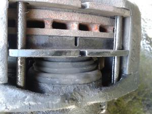20150503_123031.jpg