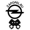 Ищем автомеханика, с правами и знанием марки Opel - последнее сообщение от Stepler